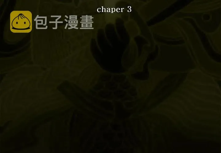 3 第3页