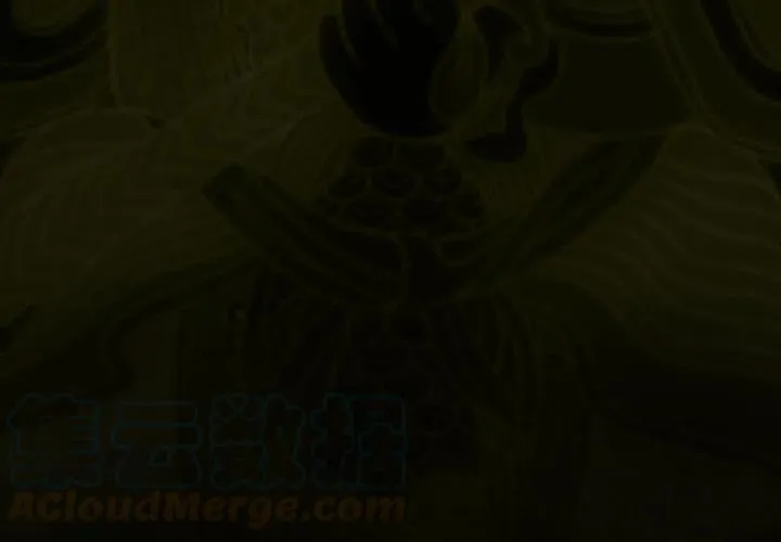5 第3页