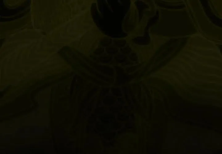 6 第3页