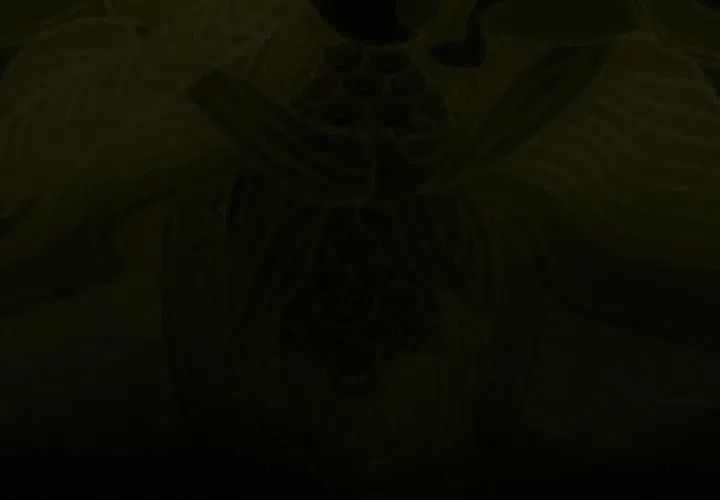 8 第3页
