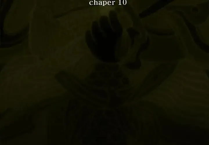 10 第3页