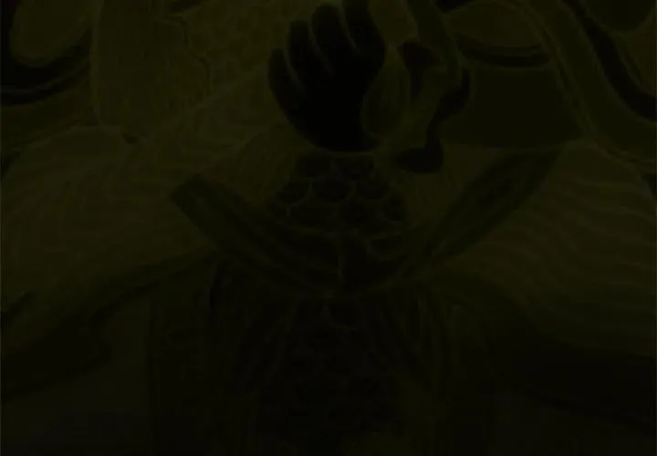 15 第3页