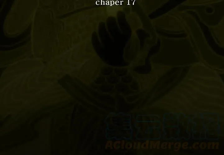 17 第3页