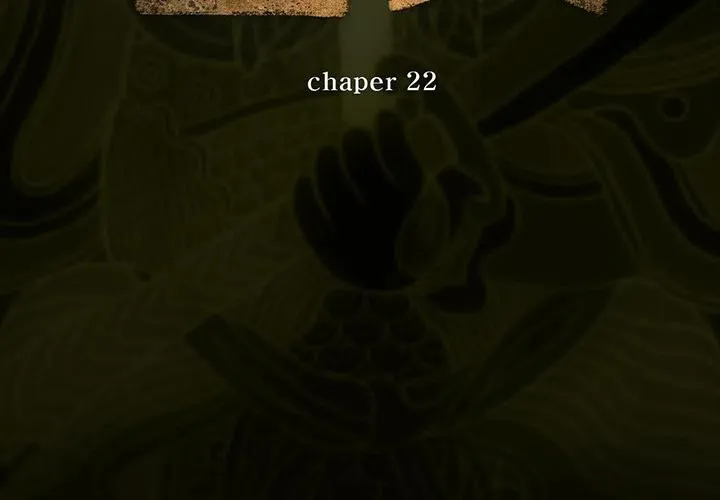 22 第3页