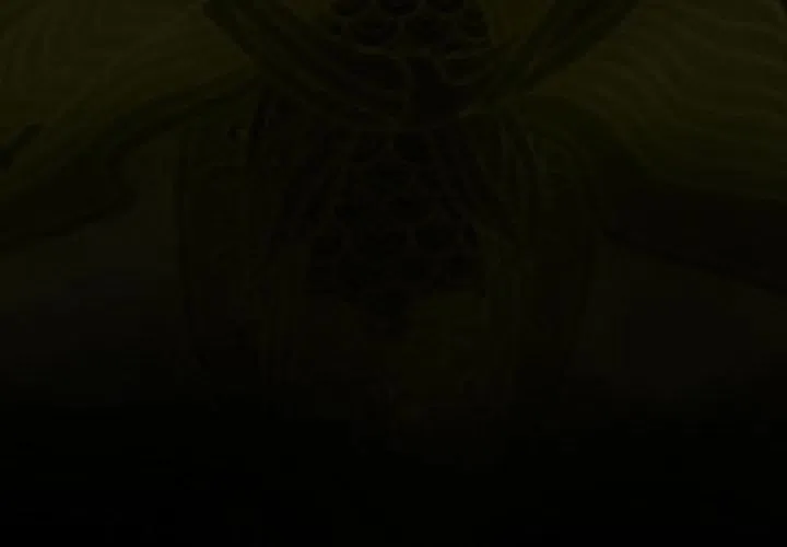 23 第3页