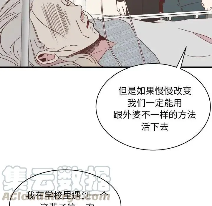 33 第49页
