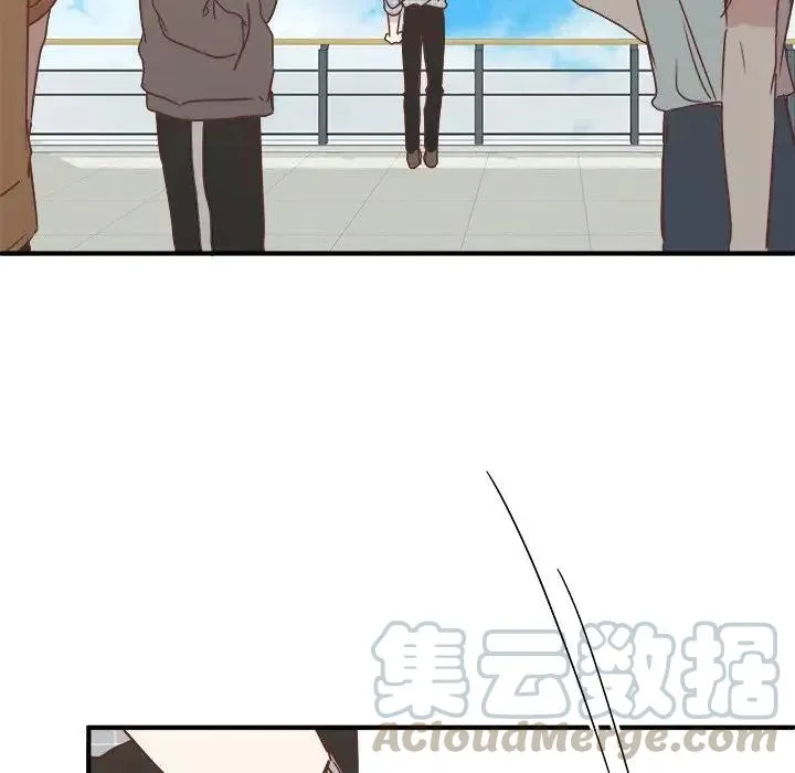 31 第17页