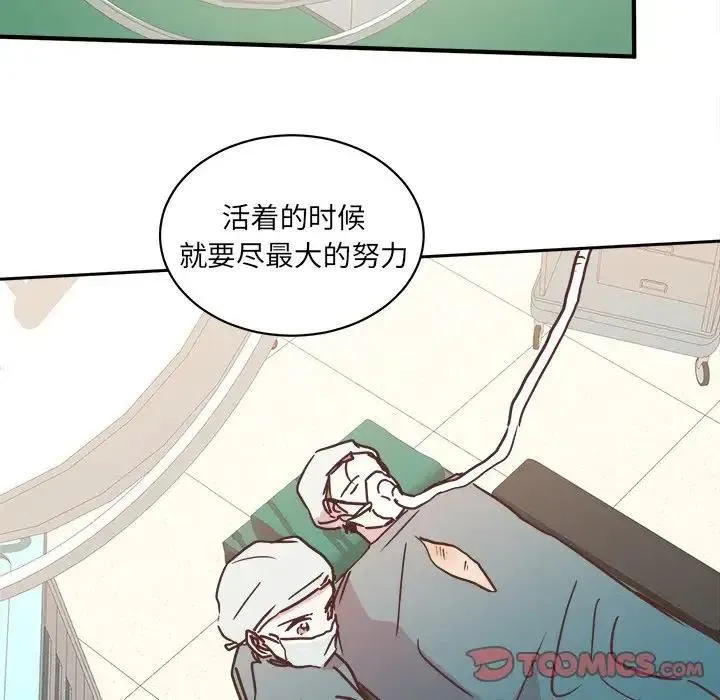 29 第75页