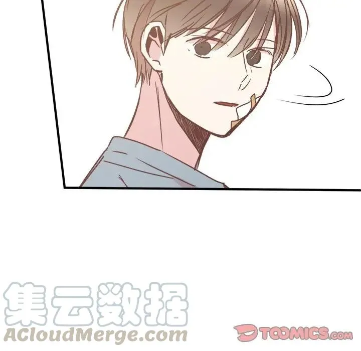 29 第117页