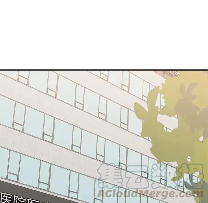 27 第85页