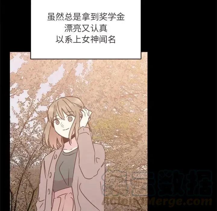 26 第13页