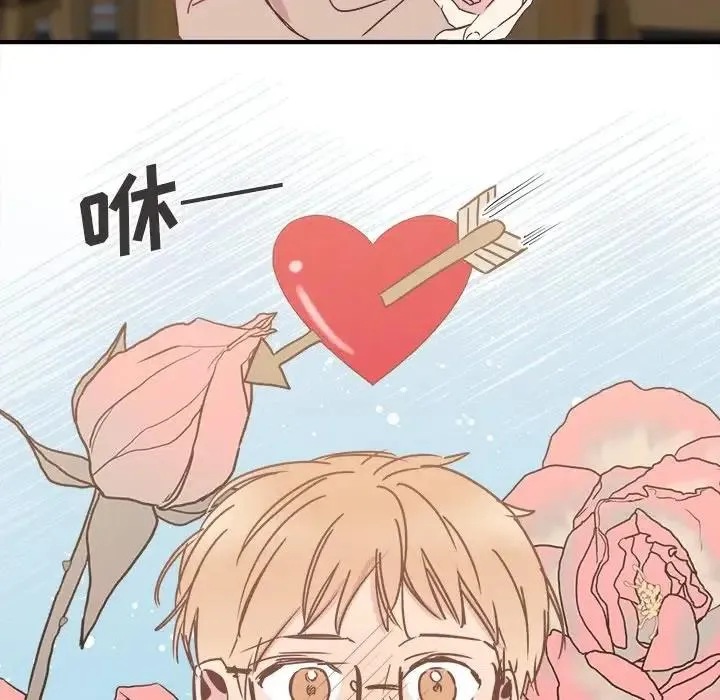 26 第27页