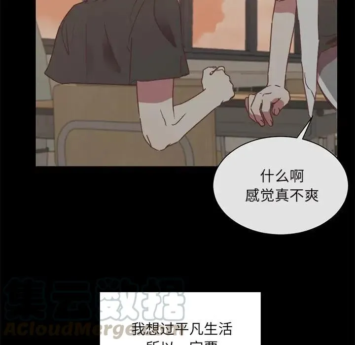 25 第25页