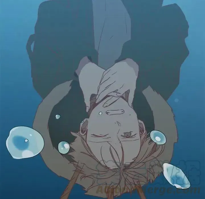 25 第37页