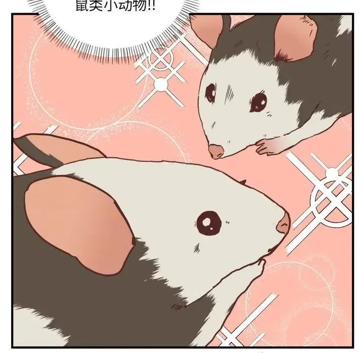 21 第11页