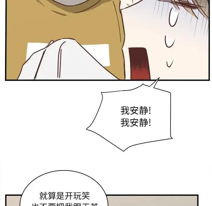 21 第63页