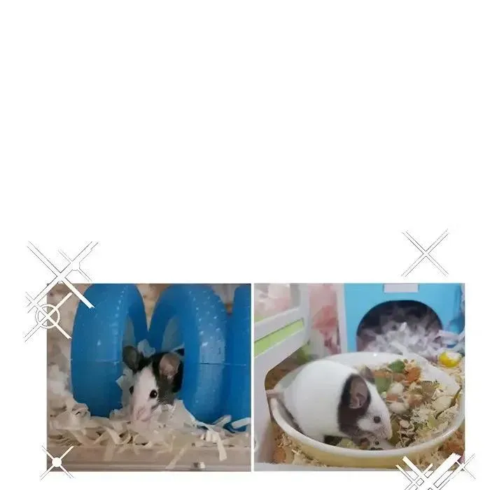 21 第99页