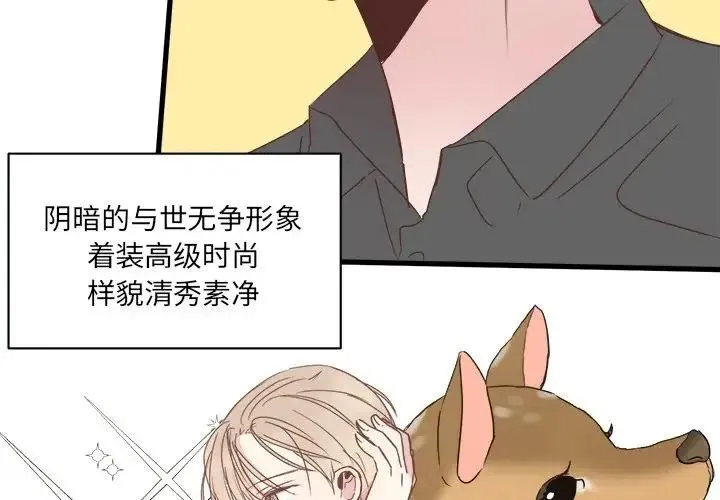 20 第3页