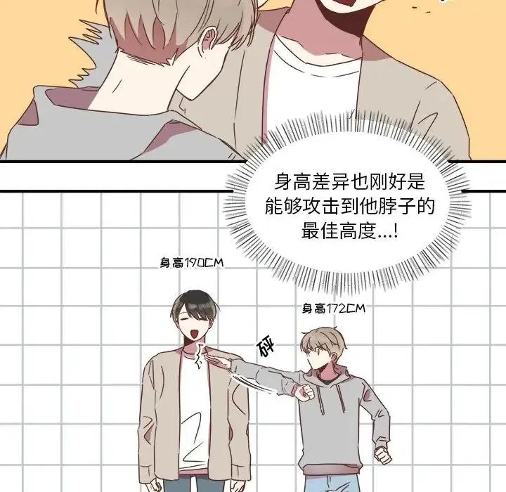 17 第10页