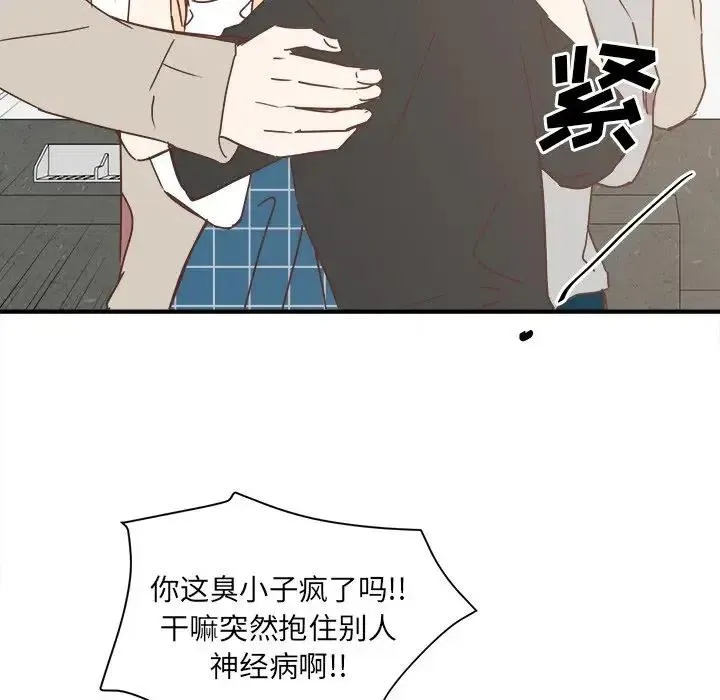 17 第26页