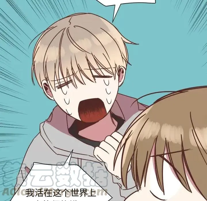 17 第41页