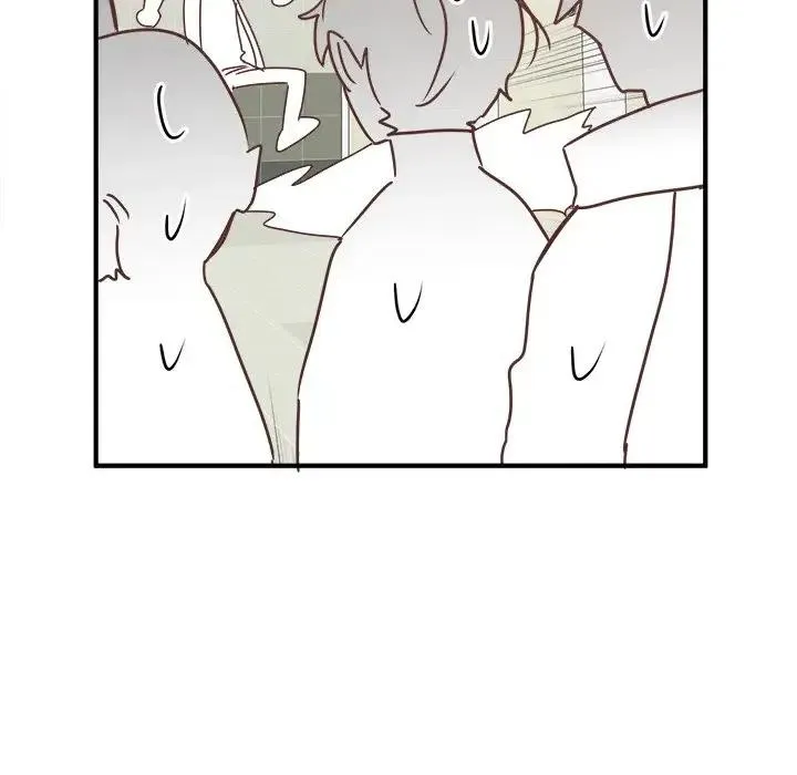 17 第52页