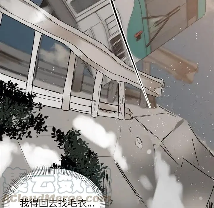 17 第77页