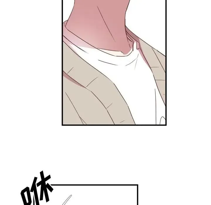 17 第96页