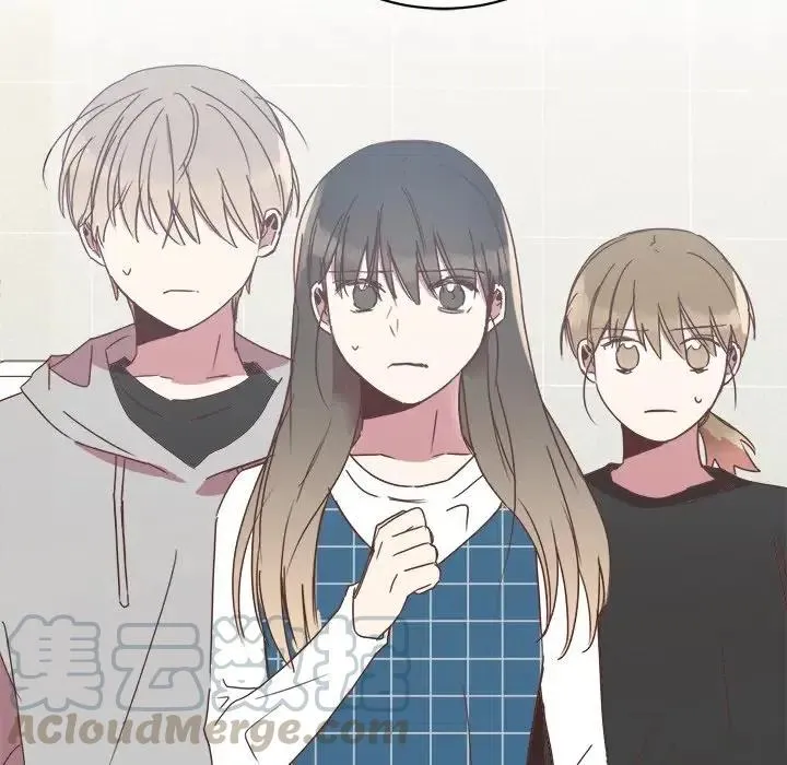 17 第105页