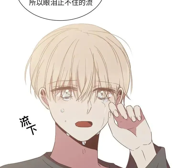 14 第51页