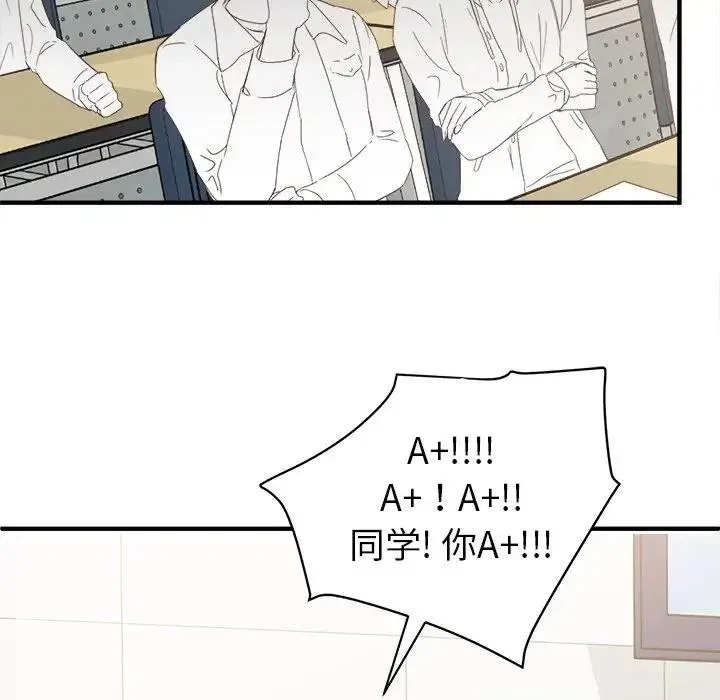 13 第50页