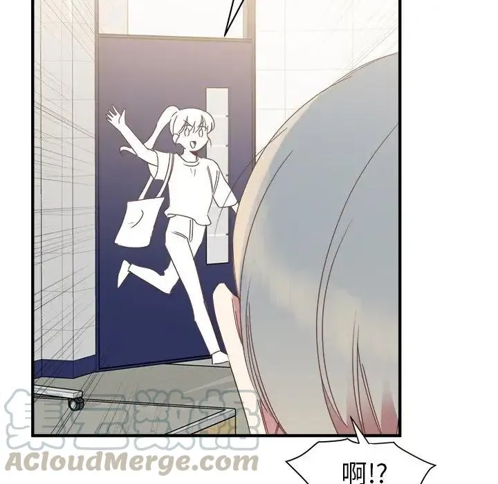 13 第81页