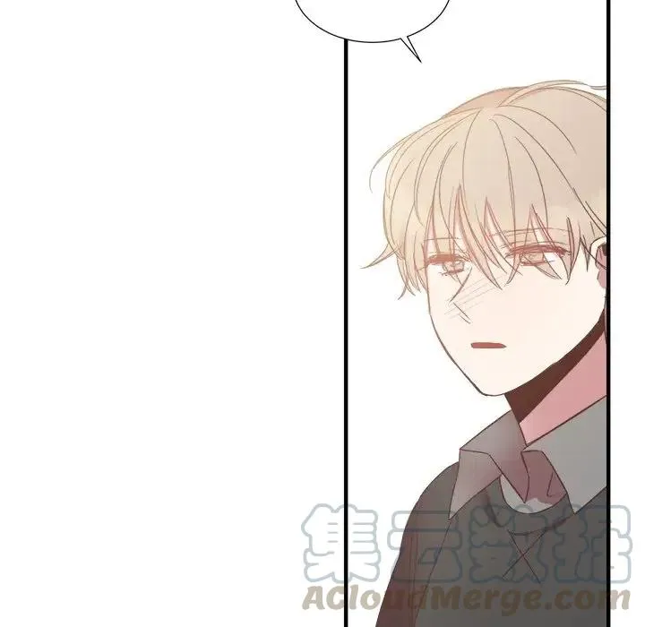13 第117页