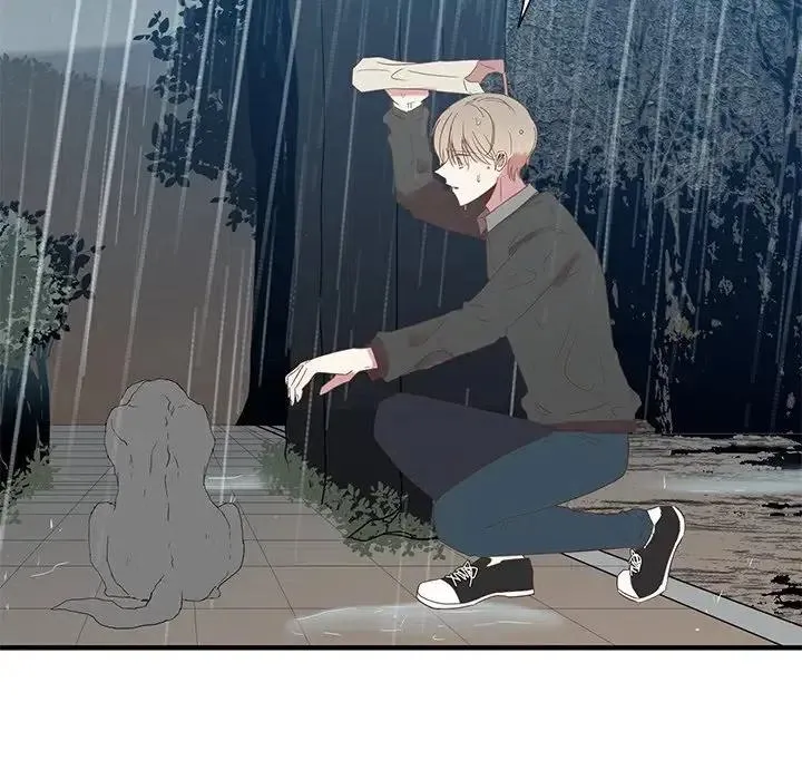 12 第32页
