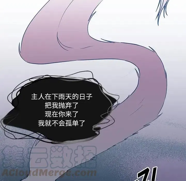 12 第41页