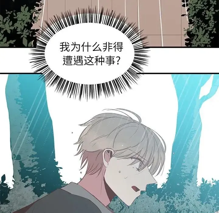 12 第58页