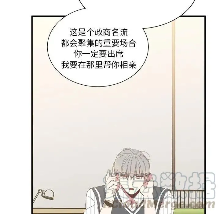 11 第33页