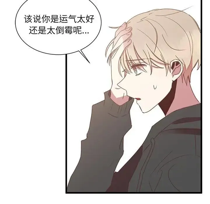 5 第8页