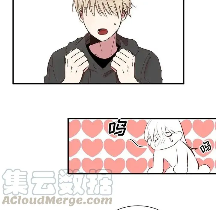 5 第93页