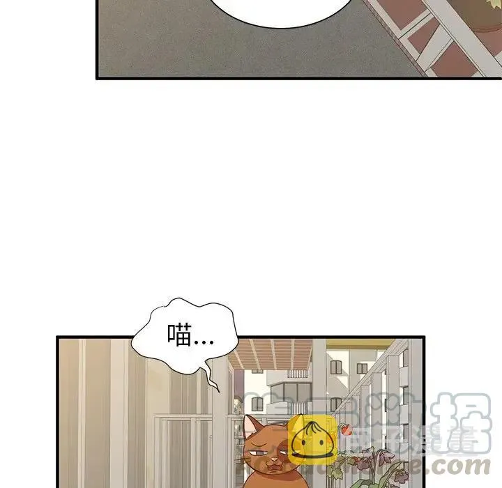 7 第43页