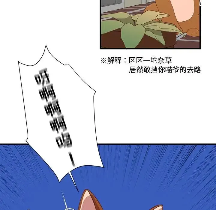 7 第45页