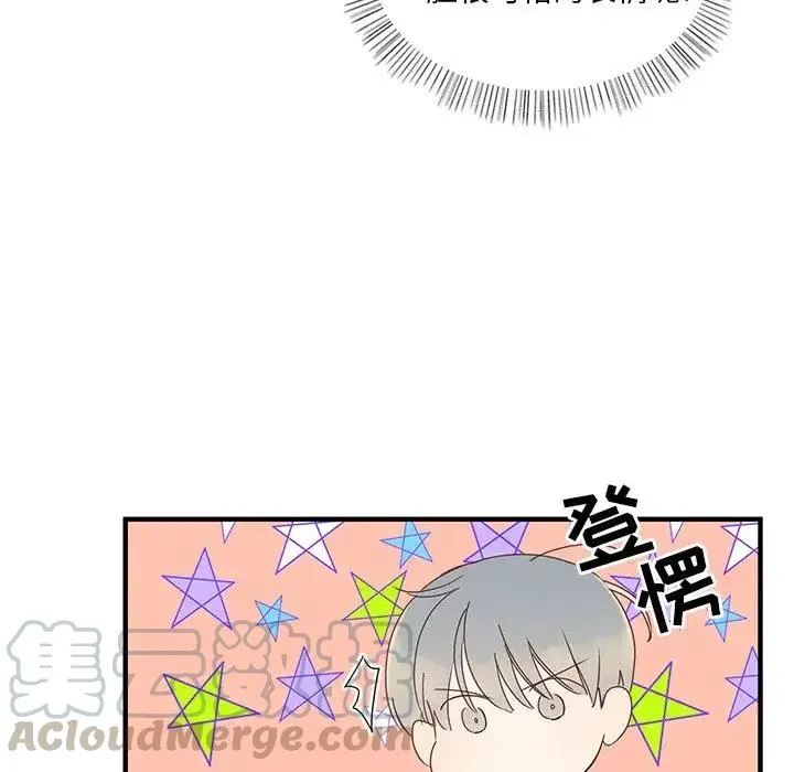 8 第41页