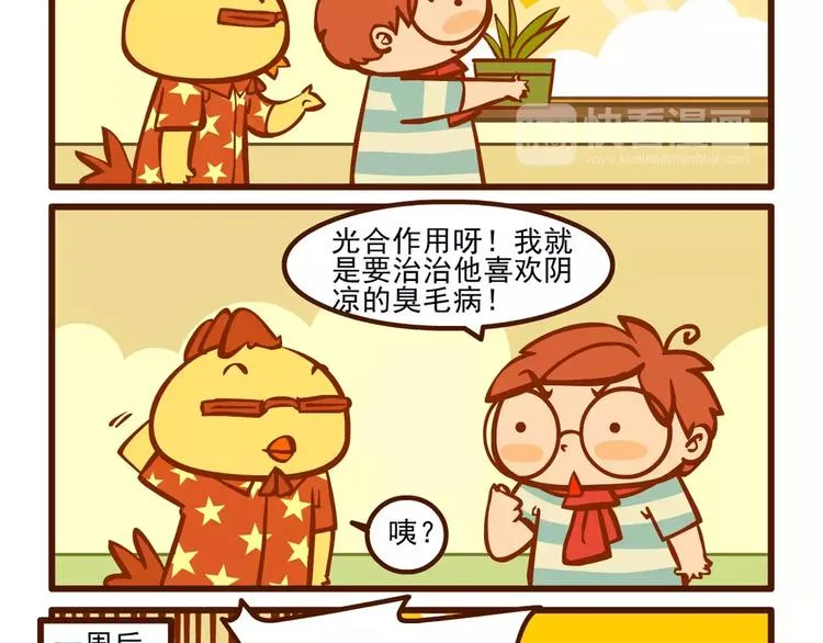 养花记 第8页