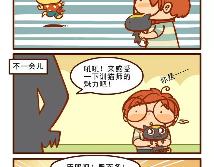 训猫记 第11页