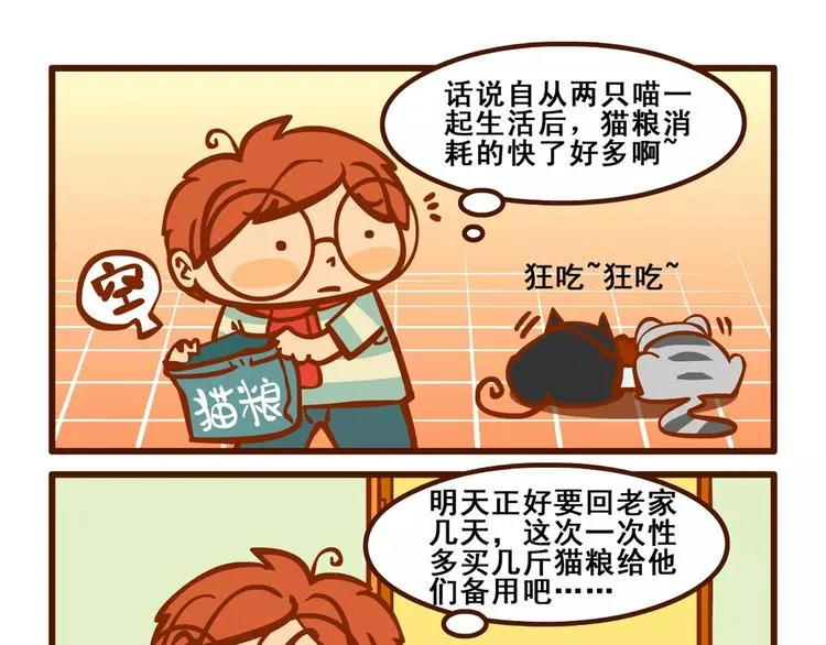 养猫记5 第10页