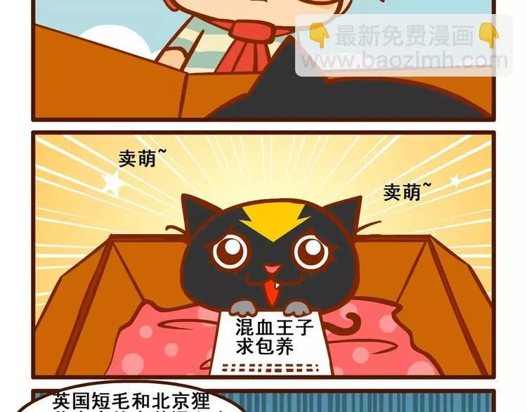 养猫记1 第8页
