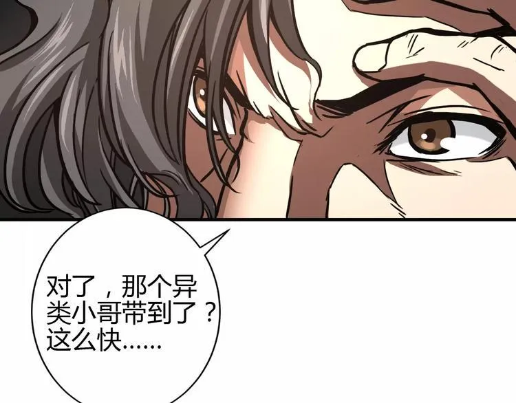 完结篇 一切才刚刚开始 第42页