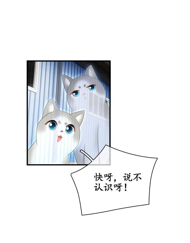 仅仅只是学妹关系，那我们还有可能吗 第31页