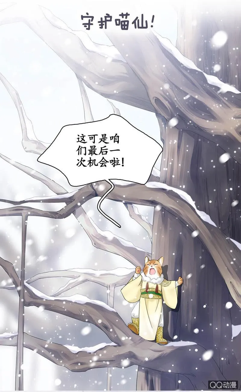 预告 第3页