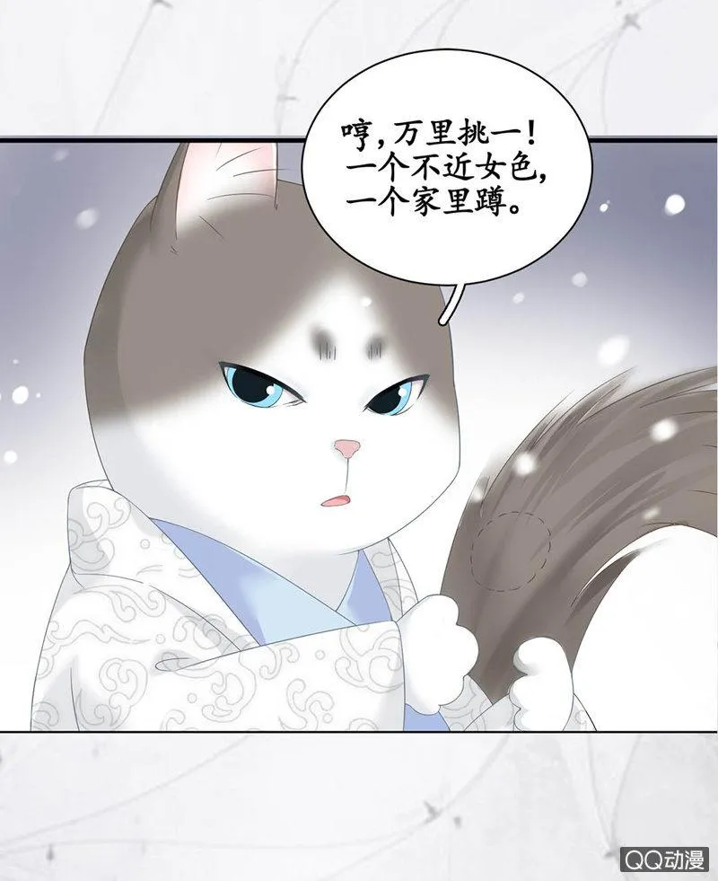 预告 第5页